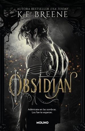LOS FAE DE LAS SOMBRAS-1.OBSIDIAN | 9788427257290 | BREENE, K.F. | Llibreria Geli - Llibreria Online de Girona - Comprar llibres en català i castellà