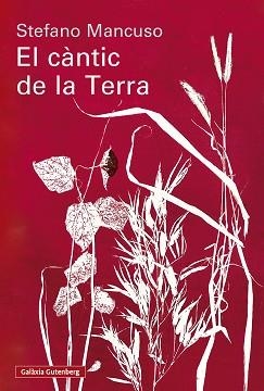 EL CÀNTIC DE LA TERRA | 9791388019852 | MANCUSO, STEFANO | Llibreria Geli - Llibreria Online de Girona - Comprar llibres en català i castellà