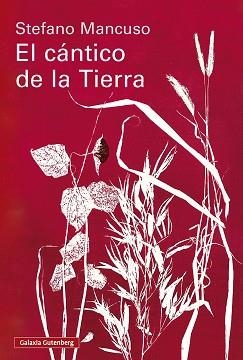 EL CÁNTICO DE LA TIERRA | 9791388019845 | MANCUSO, STEFANO | Llibreria Geli - Llibreria Online de Girona - Comprar llibres en català i castellà