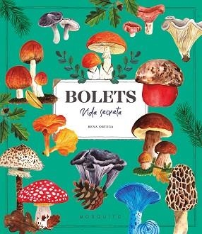 BOLETS. VIDA SECRETA | 9788410417687 | ORTEGA, RENA | Llibreria Geli - Llibreria Online de Girona - Comprar llibres en català i castellà