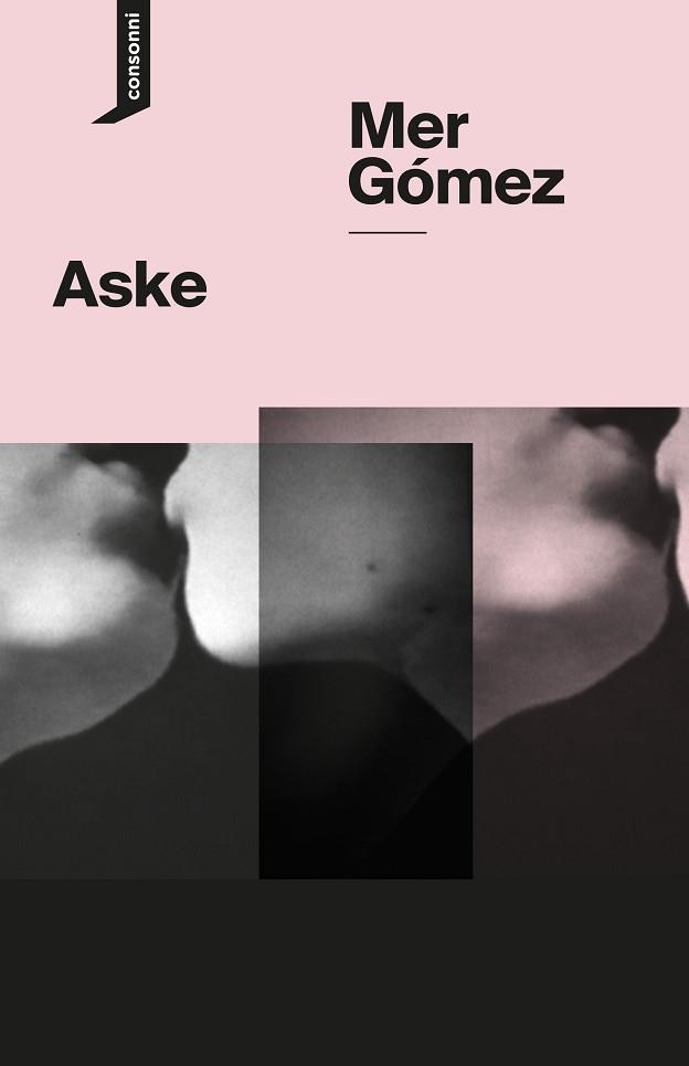 ASKE(EDICIÓN EN CASTELLANO) | 9791388471001 | GÓMEZ, MER | Llibreria Geli - Llibreria Online de Girona - Comprar llibres en català i castellà
