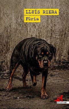 FÚRIA | 9791388174247 | RIERA, LLUIS | Llibreria Geli - Llibreria Online de Girona - Comprar llibres en català i castellà