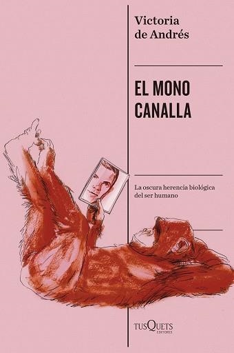 EL MONO CANALLA | 9788411078351 | ANDRÉS, VICTORIA DE | Llibreria Geli - Llibreria Online de Girona - Comprar llibres en català i castellà