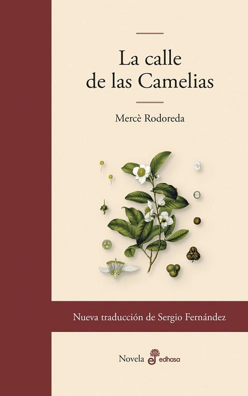 LA CALLE DE LAS CAMELIAS | 9788435011860 | RODOREDA, MERCÈ | Libreria Geli - Librería Online de Girona - Comprar libros en catalán y castellano