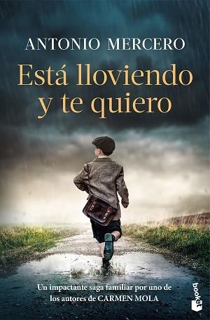 ESTÁ LLOVIENDO Y TE QUIERO | 9788408326724 | MERCERO, ANTONIO | Llibreria Geli - Llibreria Online de Girona - Comprar llibres en català i castellà