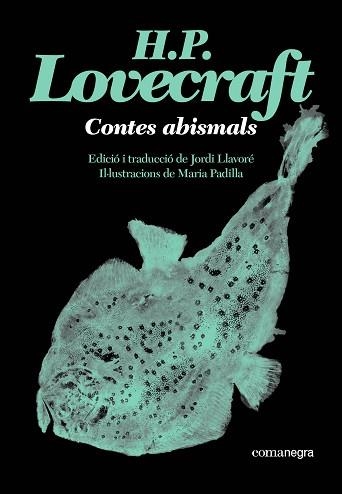 CONTES ABISMALS | 9791387969530 | LOVECRAFT, H. P. | Llibreria Geli - Llibreria Online de Girona - Comprar llibres en català i castellà