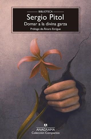DOMAR A LA DIVINA GARZA | 9788433950987 | PITOL, SERGIO | Llibreria Geli - Llibreria Online de Girona - Comprar llibres en català i castellà