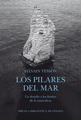 LOS PILARES DEL MAR | 9791388032608 | TESSON, SYLVAIN | Llibreria Geli - Llibreria Online de Girona - Comprar llibres en català i castellà