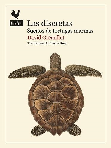 LAS DISCRETAS | 9788419168986 | GRÉMILLET, DAVID | Llibreria Geli - Llibreria Online de Girona - Comprar llibres en català i castellà