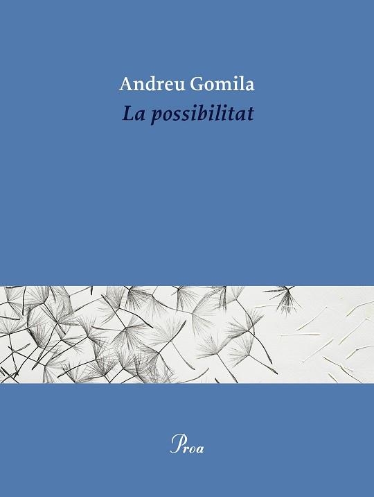 LA POSSIBILITAT | 9791388369155 | GOMILA LLOBERA, ANDREU | Llibreria Geli - Llibreria Online de Girona - Comprar llibres en català i castellà
