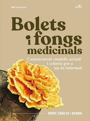 BOLETS I FONGS MEDICINALS | 9788413566313 | GRÀCIA I BARBA, ENRIC | Libreria Geli - Librería Online de Girona - Comprar libros en catalán y castellano