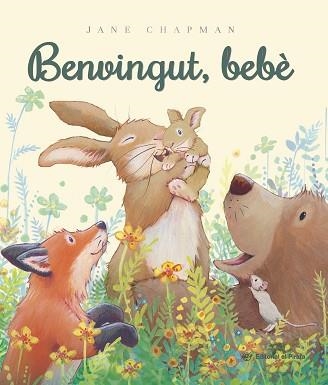 BENVINGUT, BEBÈ | 9788419912640 | CHAPMAN, JANE | Llibreria Geli - Llibreria Online de Girona - Comprar llibres en català i castellà