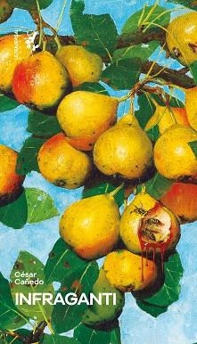 INFRAGANTI | 9788412709292 | CAÑEDO, CÉSAR | Llibreria Geli - Llibreria Online de Girona - Comprar llibres en català i castellà