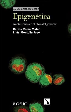 EPIGENÉTICA | 9788410677401 | ROMÁ MATEO,CARLOS | Llibreria Geli - Llibreria Online de Girona - Comprar llibres en català i castellà
