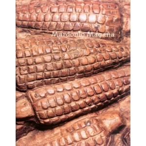 MARDONIO MAGAÑA | 9789685208260 | Llibreria Geli - Llibreria Online de Girona - Comprar llibres en català i castellà