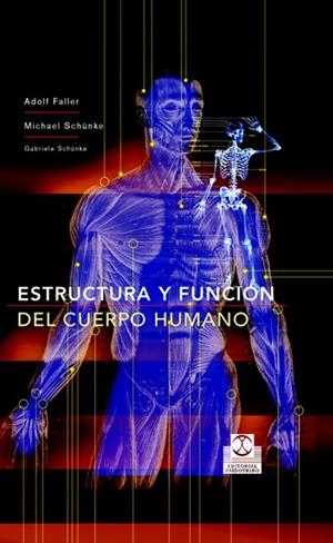 ESTRUCTURA Y FUNCION DEL CUERPO HUMANO | 9788480198677 | FALLER, ADOLF/SCHüNKE, MICHAEL | Llibreria Geli - Llibreria Online de Girona - Comprar llibres en català i castellà