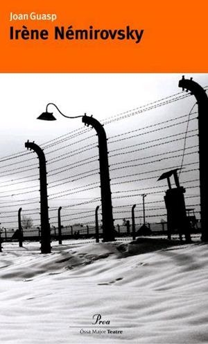 IRENE NEMIROVSKY | 9788484379461 | GUASP,JOAN | Llibreria Geli - Llibreria Online de Girona - Comprar llibres en català i castellà