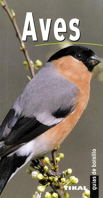 AVES(GUIAS DE BOLSILLO) | 9788430558902 | Libreria Geli - Librería Online de Girona - Comprar libros en catalán y castellano